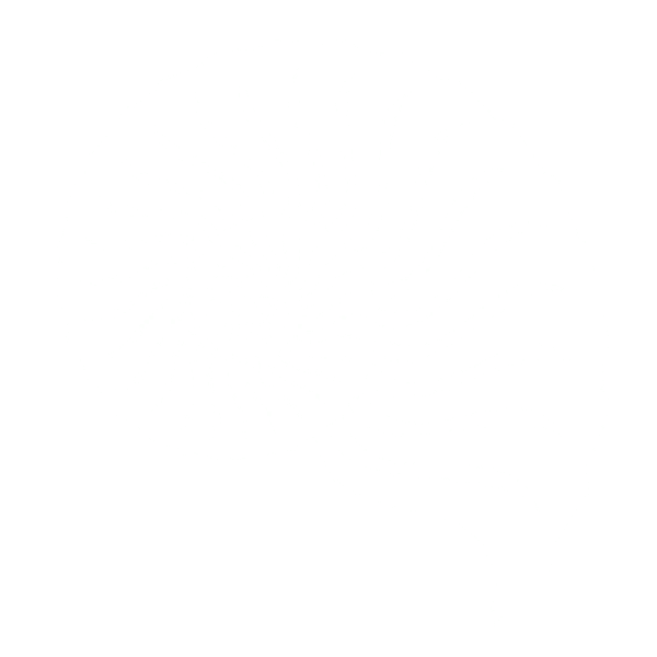 Nautilus